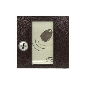 4FN 231 23,1/M - Czytnik RFID RAK BES KARAT, z Z, z OPJ, USB, miedziany.