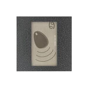 4FN 231 25,2/M - Czytnik RFID RAK BES KARAT, bez Z, z OPJ, USB, srebrny.