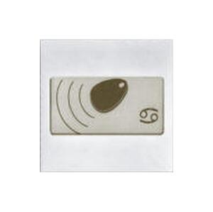 4FN 231 25,5/M - Czytnik RFID RAK BES KARAT INOX, bez Z, z OPJ, USB