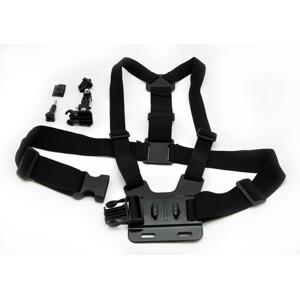 Pas piersiowy CEL-TEC PK70