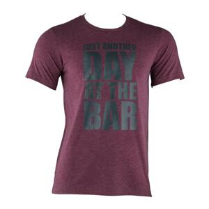 Capital Sports Koszulka treningowa, męska, T-shirt, rozmiar S, kasztanowy