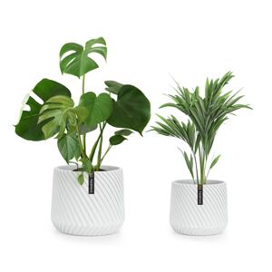 Fox & Fern Heusden, zestaw 2 doniczek na stojaku, Polystone, idealna dla roślin, wykonana ręcznie, wygląd 3D