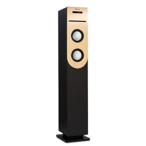 Auna Berklee, kolumna głośnikowa, 2 x 10 W RMS, odtwarzacz CD, FM, Bluetooth, USB, SD/MMC